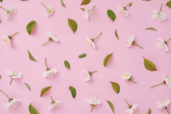 Separate flowers and leaves of cherry blossoming in spring are laid out on a pink background in the form of a pattern for a poster or invitation to a wedding or holiday.
