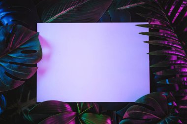 Gizemli gerçeküstü trend ve neon ışıkta orman ve uzay kâğıdı kopyaları. Parlak tropik çağdaş palmiyeler ve diğer egzotik bitkiler.