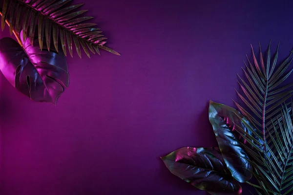 Moody Hedendaagse Verlichte Nacht Achtergrond Met Kopieerruimte Tropische Palmen Een — Stockfoto