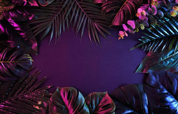 Surreal Moody Frame Vivid Tropical Plants Modern Trendy Retro Concept — Stock Photo, Image