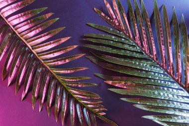 Parlayan yansıma, tropikal palmiye ağacını neon ışıkla aydınlatıyor. Karanlık retro ormanı ve bitkiler.