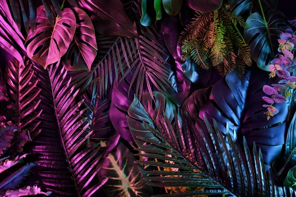 Tropical Dark Trend Jungle Neon Illuminated Lighting Background Exotic Palms — Stock Photo, Image