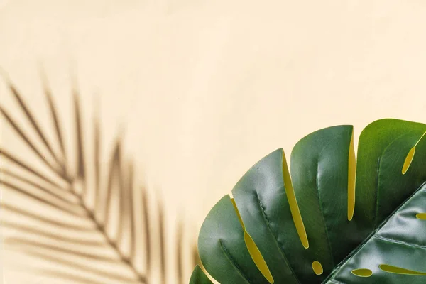 Shadow Palm Tree Monstera Leaf Illuminating Beige Background Copy Space — Photo