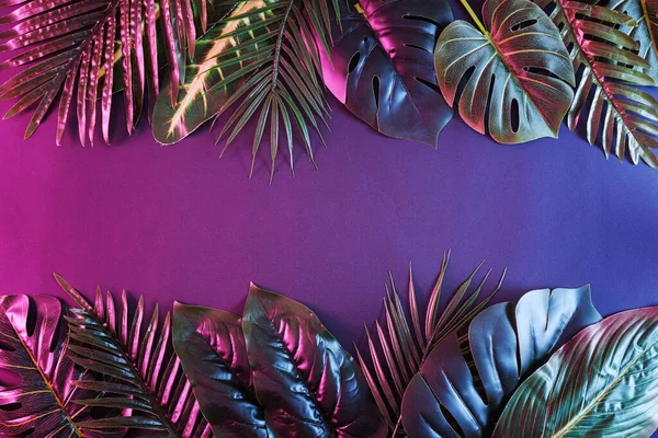 Two Rows Leaves Tropical Palms Border Dramatic Contemporary Style Neon — Stock Photo, Image