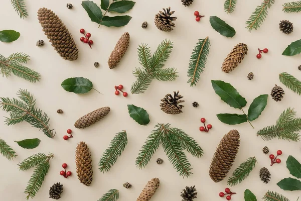 Creative Winter Natural Pattern Pine Cones Berries Nature Concept Floral — Stock Photo, Image