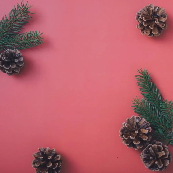 Christmas Background Border Pine Foliage Cones Overred Central Copyspace Your — Stock Photo, Image