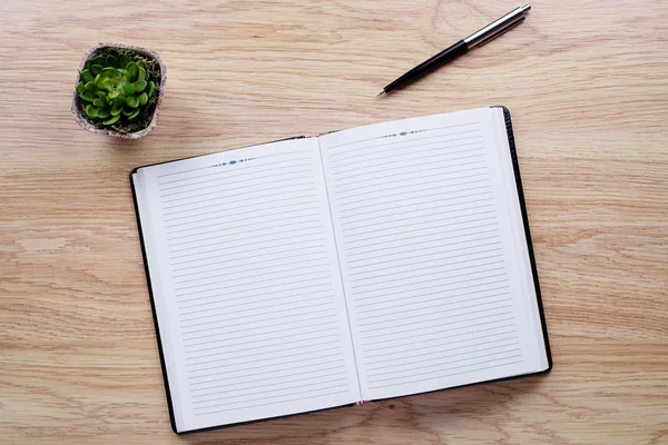 Flower pot, ballpoint pen and notebook on the desktop — Stock Photo, Image