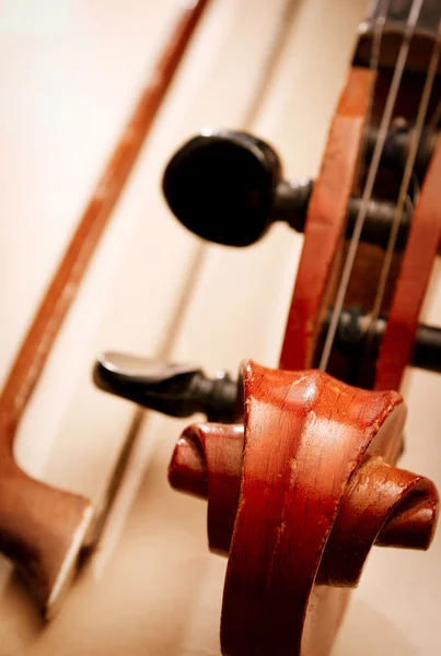 Закрыть скрипичный свиток и пегбокс — стоковое фото