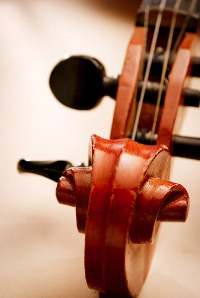 Закрыть скрипичный свиток и пегбокс — стоковое фото