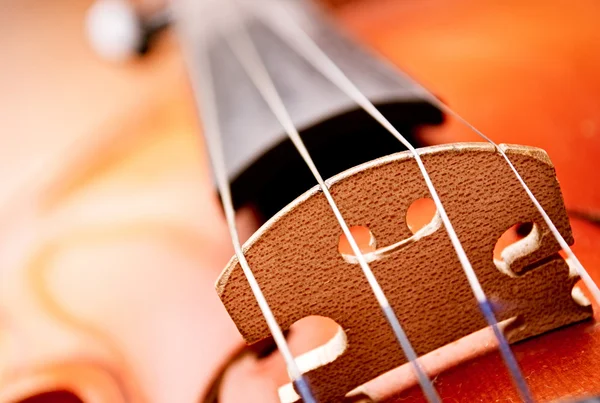 Close Up of Violin Bridge and Strings — стокове фото