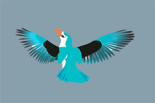 Голубая птица — стоковое фото