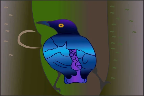Blauviolette Vögel — Stockfoto