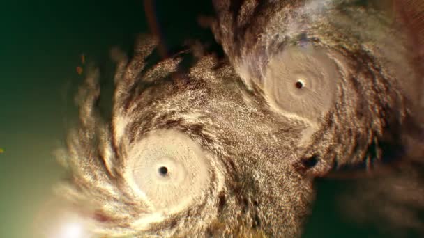 Inzoomen op de twee orkanen, Cg animatie, vanuit de ruimte. — Stockvideo
