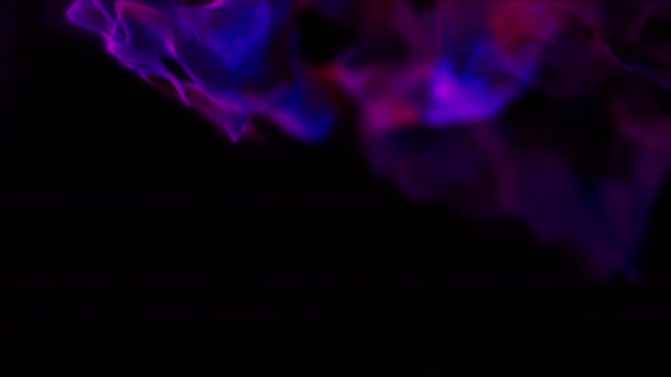 Particules de lilas dans l'obscurité, animation 3D, boucle — Video