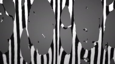 Zebra derisinin yırtılması