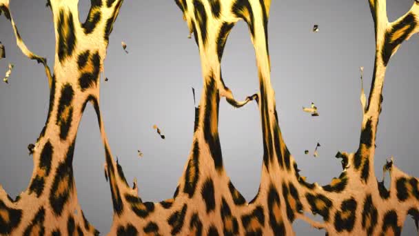 Σκίσιμο δέρματος λεοπάρδαλης — Αρχείο Βίντεο