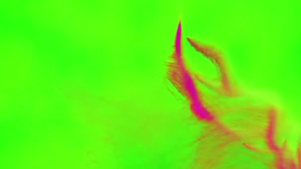 Belles particules, boucle sans couture .