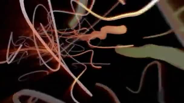 移动的抽象根 — 图库视频影像