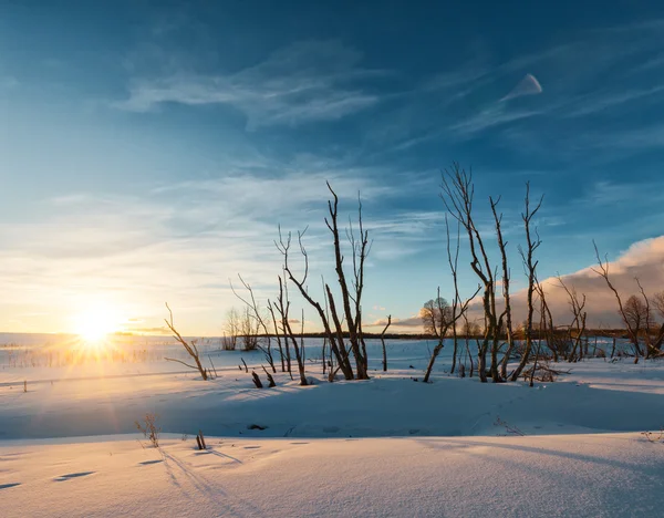 El paisaje de invierno —  Fotos de Stock