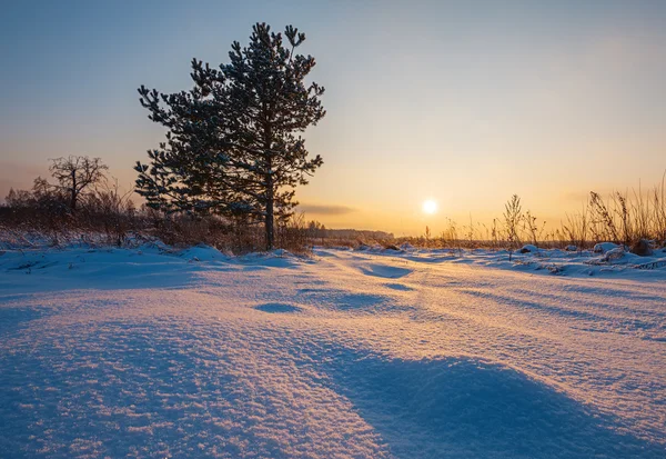 Zonsondergang in de winter in velden — Stockfoto