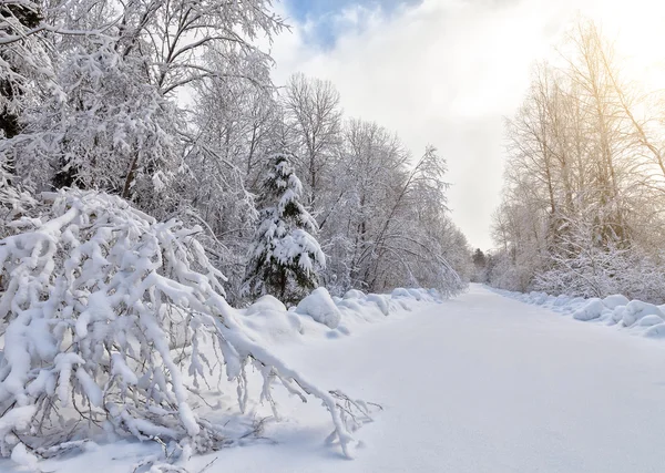A paisagem de inverno — Fotografia de Stock