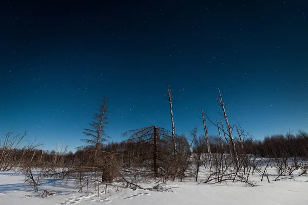 Έναστρο χειμερινό τοπίο — Φωτογραφία Αρχείου