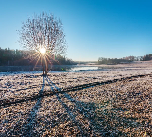 Rural winterlandschap — Stockfoto