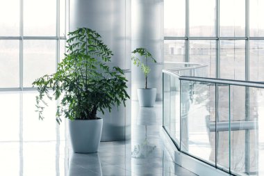 Bright, modern lobby or hall features tall metallic columns, potted greenery, and a reflective glass and steel.