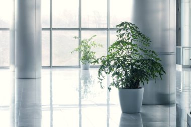 Bright, modern lobby or hall features tall metallic columns, potted greenery, and a reflective glass and steel.