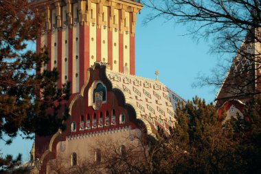 Sırbistan 'ın Subotica kentine yakın çekim, belediye binası kulesi ve ağaçlar ve dallarla çerçevelenmiş renkli çatı fayansları.
