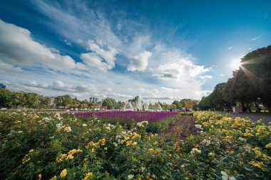 Gorki Parkı, Moskova panoramik manzaralı