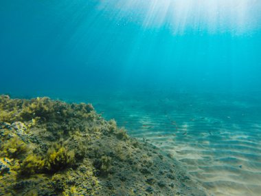 Underwater view of Ionian sea clipart