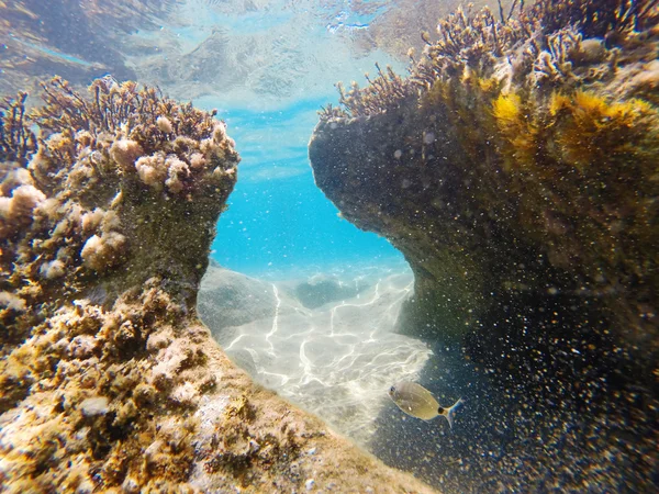 Подводный вид на Ионическое море — стоковое фото