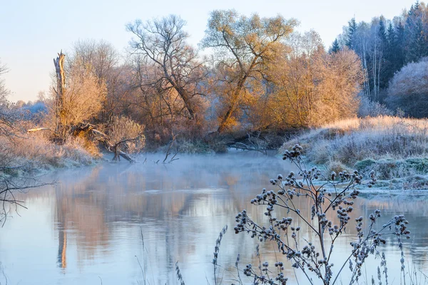 Winterlandschap met rivier — Stockfoto