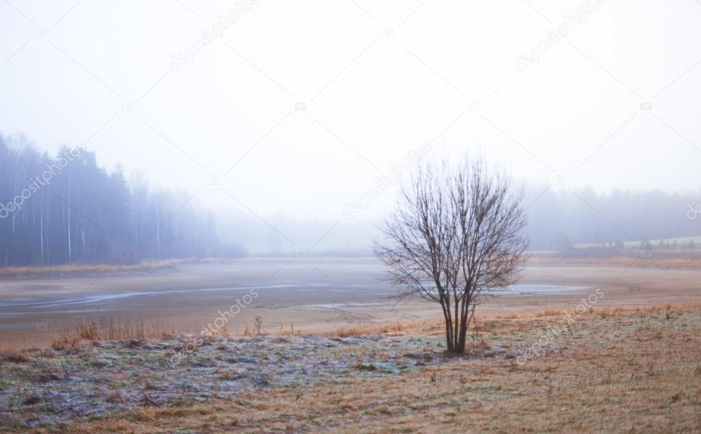 Rural winter landscape