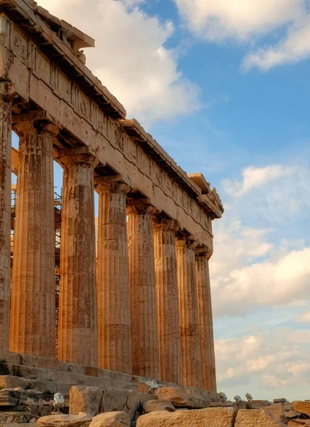 Atenas Grecia Febrero 2020 Ruinas Del Partenón Acrópolis 447 Atenas — Foto de Stock