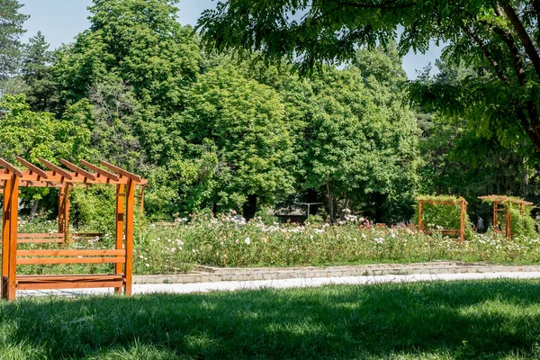 Stadt Russe Bulgarien Juli 2020 Schöne Aussicht Vom Mladeschki Park — Stockfoto