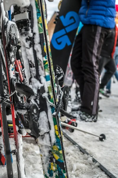 Paltinis Arena Platos Roumanie Janvier 2020 Skis Disposés Dans Rack — Photo