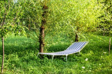 Söğüt ağacının altındaki bahçede uzan.