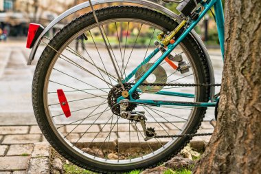 Şehir bisikletinin arka tekerleği ağaca yaslanıyor.