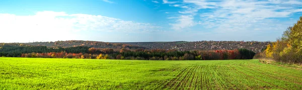 Champ Agricole Fraîchement Cultivé Avec Paysage Automne Arrière Plan Parc — Photo