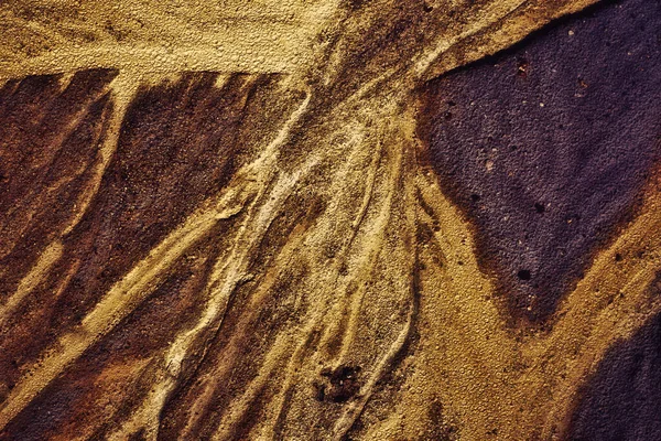 Χρυσοί Αμμόλοφοι Στην Παραλία — Φωτογραφία Αρχείου