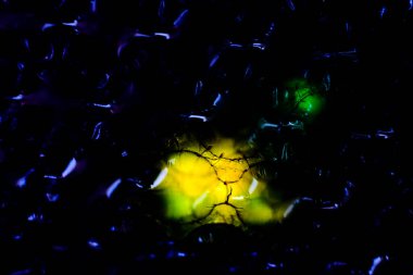 soyut arkaplan bir Shee aracılığıyla renkli bir resimle oluşturuldu