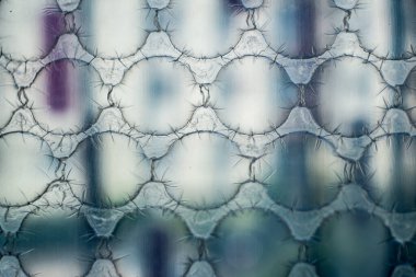 Kabarcık ambalajını kapat