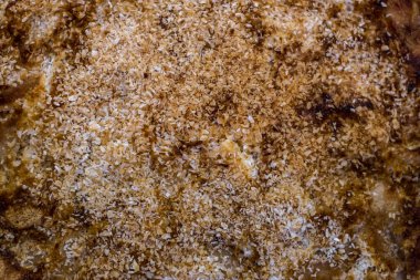 Hindistan cevizli ev yapımı kek.