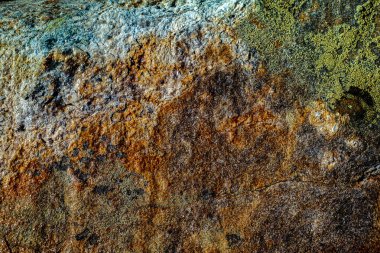 Yosun ve yosunlu mineral taşı