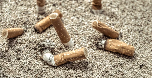 砂の中のタバコの吸い殻 — ストック写真