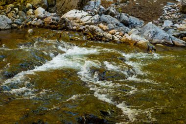 Transilvanya, Trascau dağları, Alba ilçesi, Romanya 'dan Ramet geçitleri