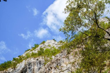 Transilvanya, Trascau dağları, Alba ilçesi, Romanya 'dan Ramet geçitleri