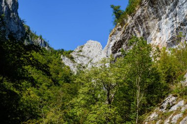 Transilvanya, Trascau dağları, Alba ilçesi, Romanya 'dan Ramet geçitleri